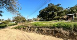 Terreno Amplo com Casa de Madeira – Gravatal