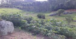 Sítio à Venda – 2,1 Hectares