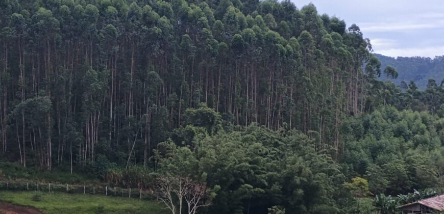 Sítio à Venda – 2,1 Hectares