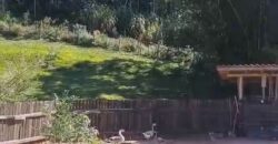 Sítio à Venda – 2,1 Hectares