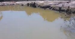 Sítio à Venda – 2,1 Hectares