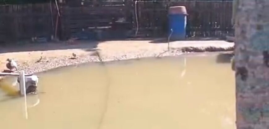 Sítio à Venda – 2,1 Hectares