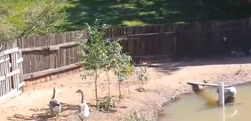 Sítio à Venda – 2,1 Hectares