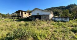 Terreno Amplo com Casa de Madeira – Gravatal