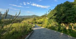 Sítio encantador na Guarda Margem Direita