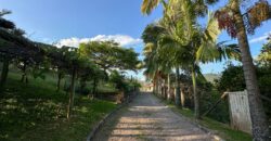 Sítio encantador na Guarda Margem Direita