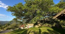 Sítio encantador na Guarda Margem Direita